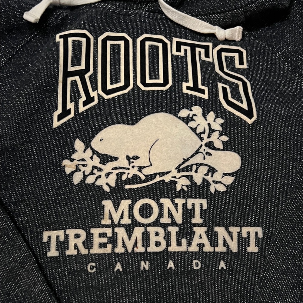 Roots Charcoal Hoodie with Cream Logo - Picture 2 of 5